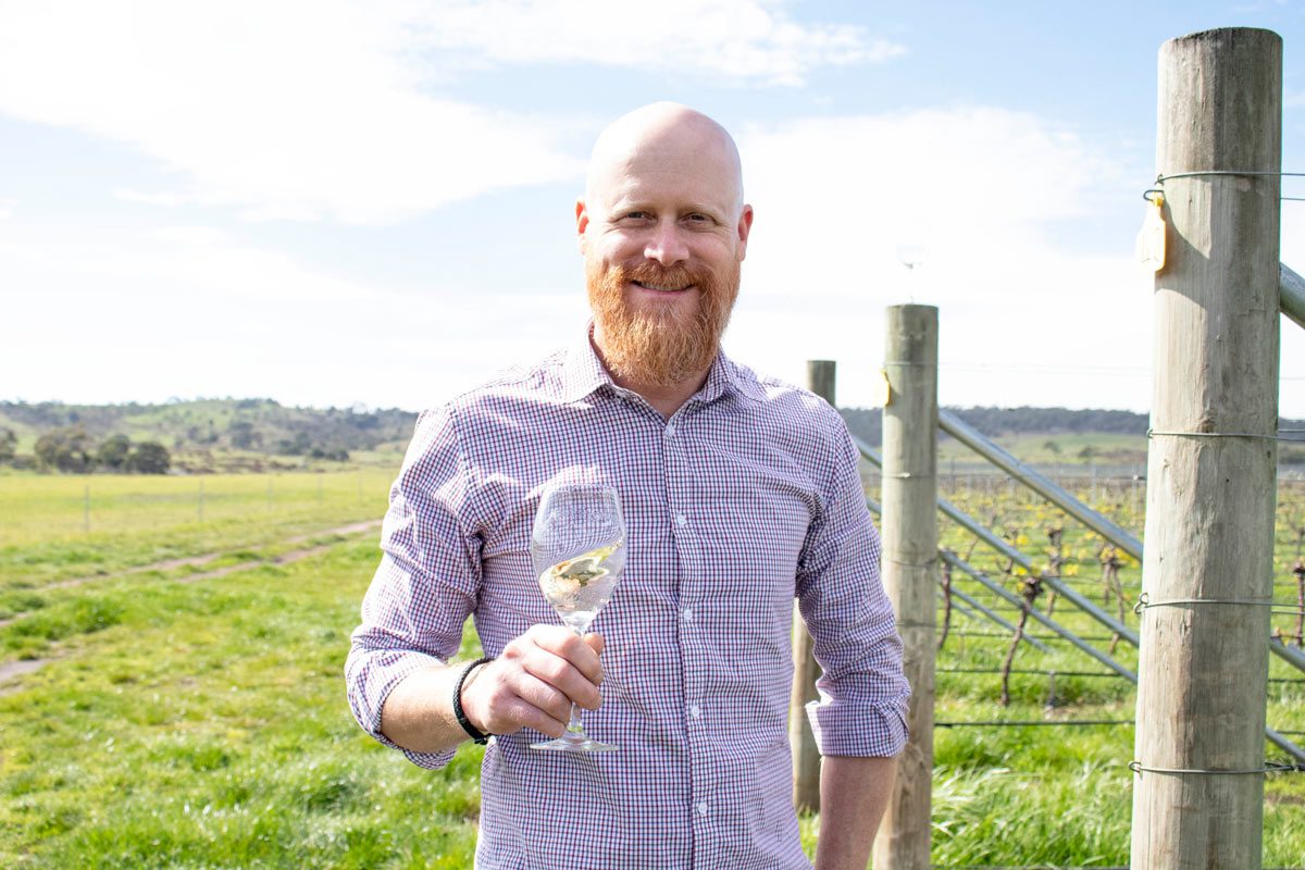 springvale_wines_barryk_01